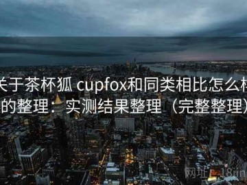 关于茶杯狐 cupfox和同类相比怎么样的整理：实测结果整理（完整整理）
