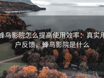 蜂鸟影院怎么提高使用效率：真实用户反馈，蜂鸟影院是什么