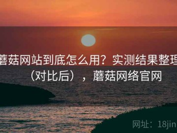 蘑菇网站到底怎么用？实测结果整理（对比后），蘑菇网络官网