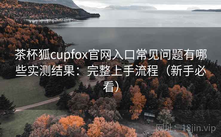 茶杯狐cupfox官网入口常见问题有哪些实测结果：完整上手流程（新手必看）